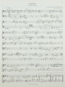 Notenbeispiel / Score example Viola