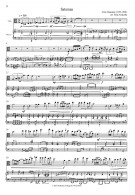 Notenbeispiel / Music example Satumaa