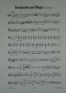 Notenbeispiel / Music example Viola