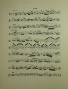 Notenbeispiel 2 / Music example Viola 2